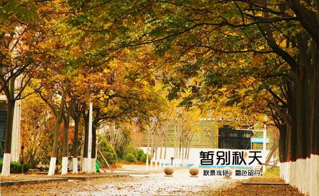 中国石油大学校园风景 初冬石大美如画