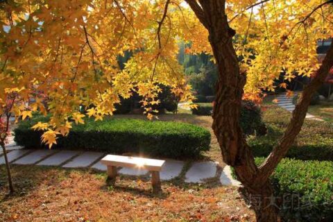 海洋大学——秋色校园