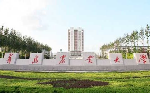 青岛农业大学学校简介
