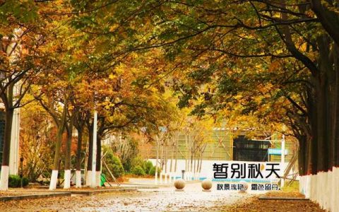 中国石油大学校园风景 初冬石大美如画