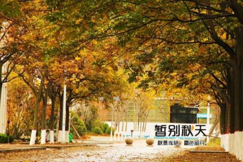 中国石油大学校园风景 初冬石大美如画