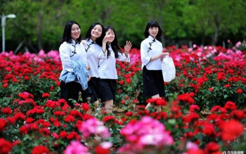 山科大月季花开 一大拨毕业照美丽来袭