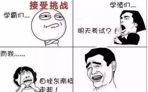 大学期末复习是一种怎样的体验？