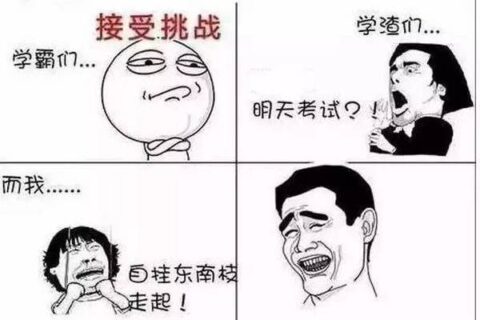 大学期末复习是一种怎样的体验？
