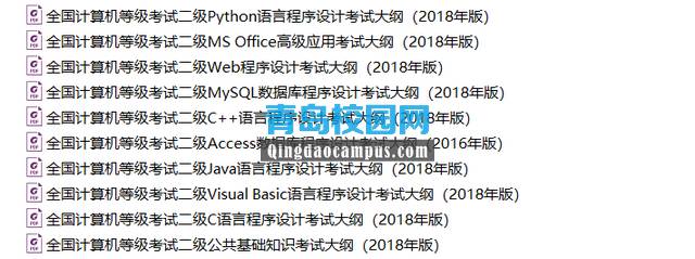 2019年全国计算机二级等级考试大纲