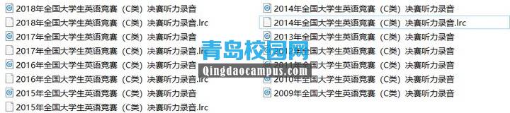 大学生英语竞赛C类考试决赛听力录音